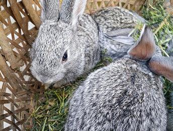 《毁灭全人类2：重新探测》预告片介绍全新区域